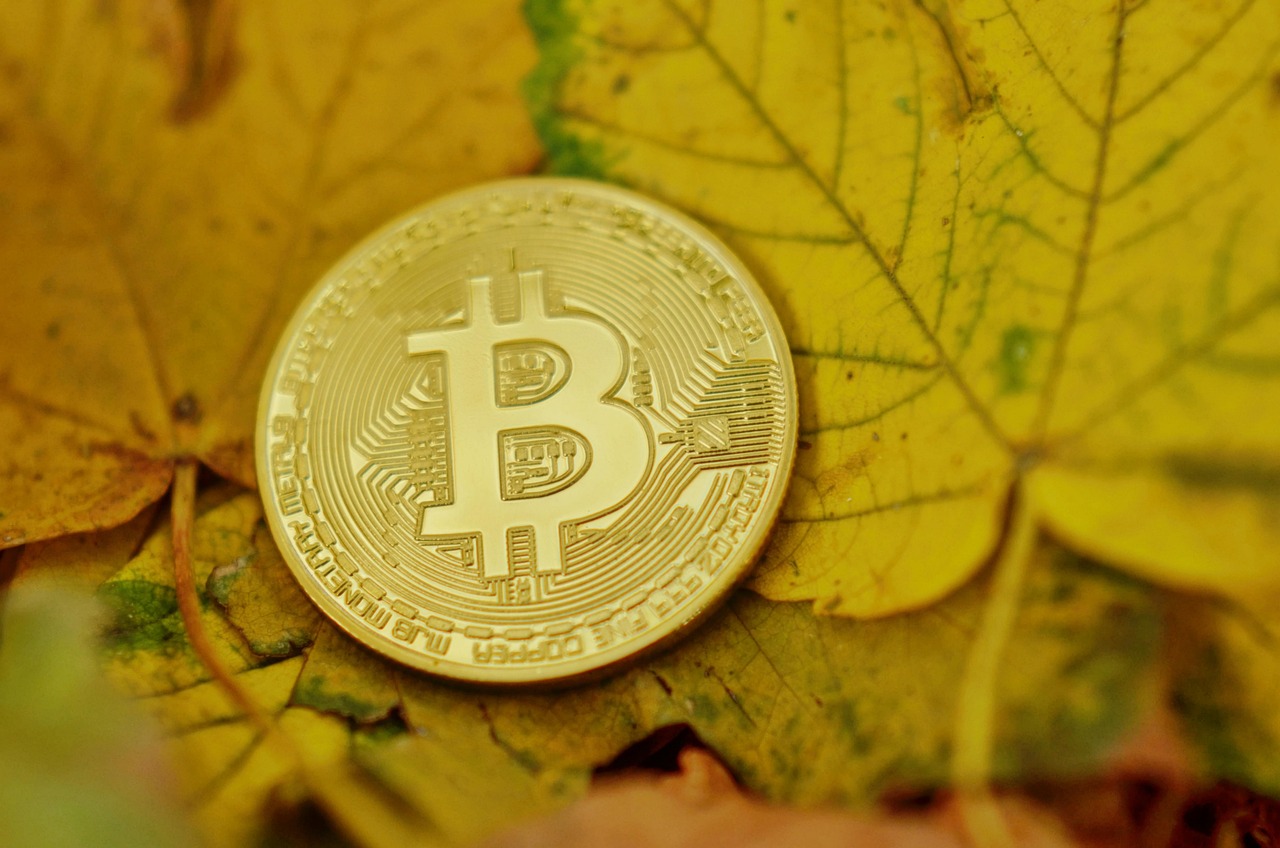 英伟达股价重挫、AI概念币和比特币也遭殃！市场静待鲍威尔演说